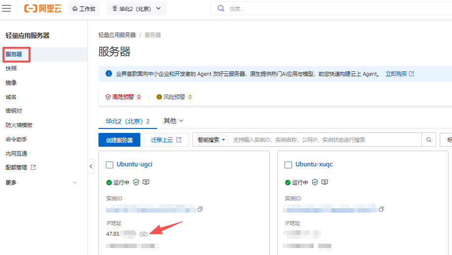 阿里云轻量应用服务器列表中的公网 IP