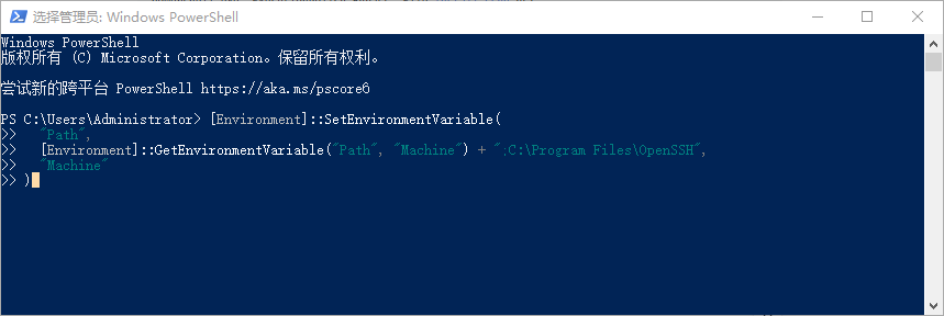 添加 OpenSSH 到 PATH